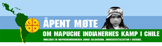 mapuche kamp