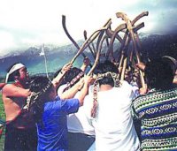 austral070920