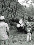 actual2.jpg (9253 bytes)