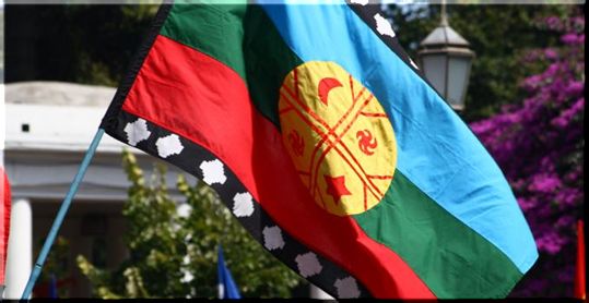 Comunidades mapuche del Bío Bío y La Araucanía piden salida del director de la Conadi