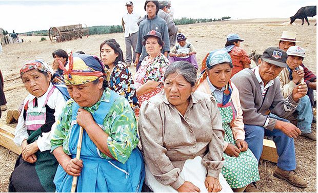 Universidad Diego Portales (UDP) lanzará, en la Facultad de Derecho de esa casa de estudios