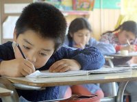 Mapudugún en todas las escuelas 