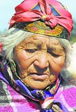 Lanzan libro léxico mapudungún 