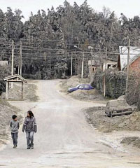 Emergencia y desastre ecológico en vísperas del We Tripantu
