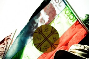 Comisión de Pueblos Originarios de la Cámara dispuesta a trabajar con mesa que dio término a huelga