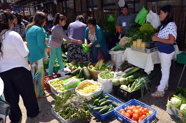 Carta de Ximena Catrilaf del sector Ñilquilko