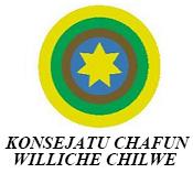 Mapuche Williches solicitan medidas cautelares ante la Comisión Interamericana de Derechos Humanos