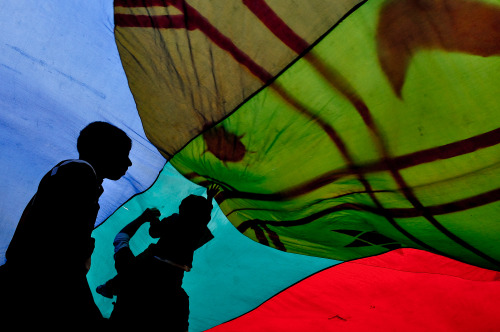 Visita del Papa Francisco al Territorio Mapuche, Wallmapuche en enero de 2018