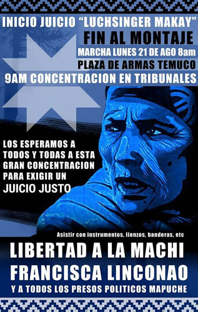 Marcha en apoyo a la Machi Francisca Linconao y a los PPM 