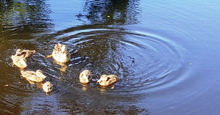 Kume rupaliaymun tufachi We Xipantu