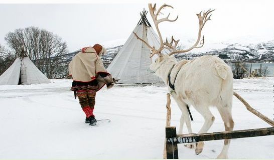 Finlandia debe reconocer ahora derechos para los pueblos indígenas