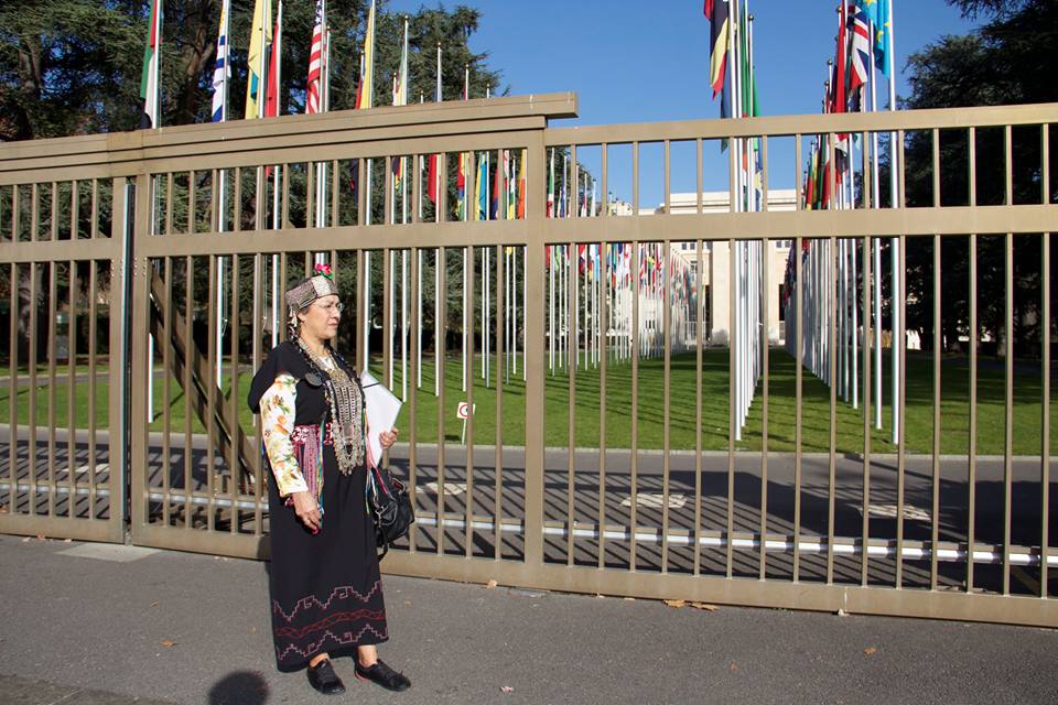 TPP denunciado en Naciones Unidas por  transgresión a derechos humanos en Chile