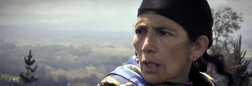 Carta de la Machi Francisca Linconao a Presidenta de Chile Michelle Bachelet