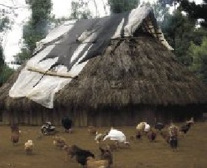 Convertidos en cineastas, los jóvenes mapuches se reencantan con su historia