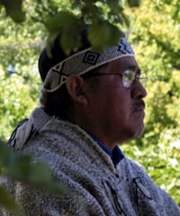 La porfía del lonko Pichún