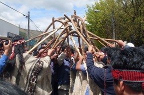 Comuneros mapuche protagonizan toma de fundo en Padre Las Casas