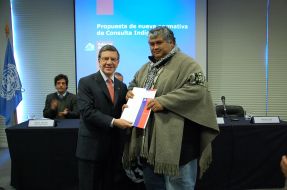 Gobierno entrega al Senado propuesta para nueva normativa de Consulta a los Pueblos Originarios