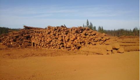 El modelo actual de desarrollo va llegar a un colapso y nosotros debemos levantar una alternativa