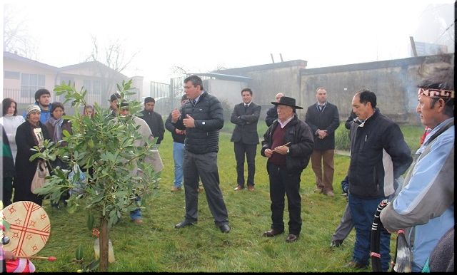 HOSPITAL TRAIGUÉN CONTARÁ CON SALA DE ATENCIÓN DE SALUD INTERCULTURAL