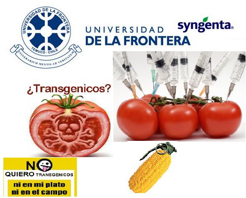 Transnacional promotora de transgénicos Syngenta auspicia cultura en Universidad de la Frontera 