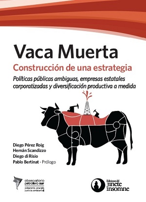 Vaca Muerta: construcción de una estrategia