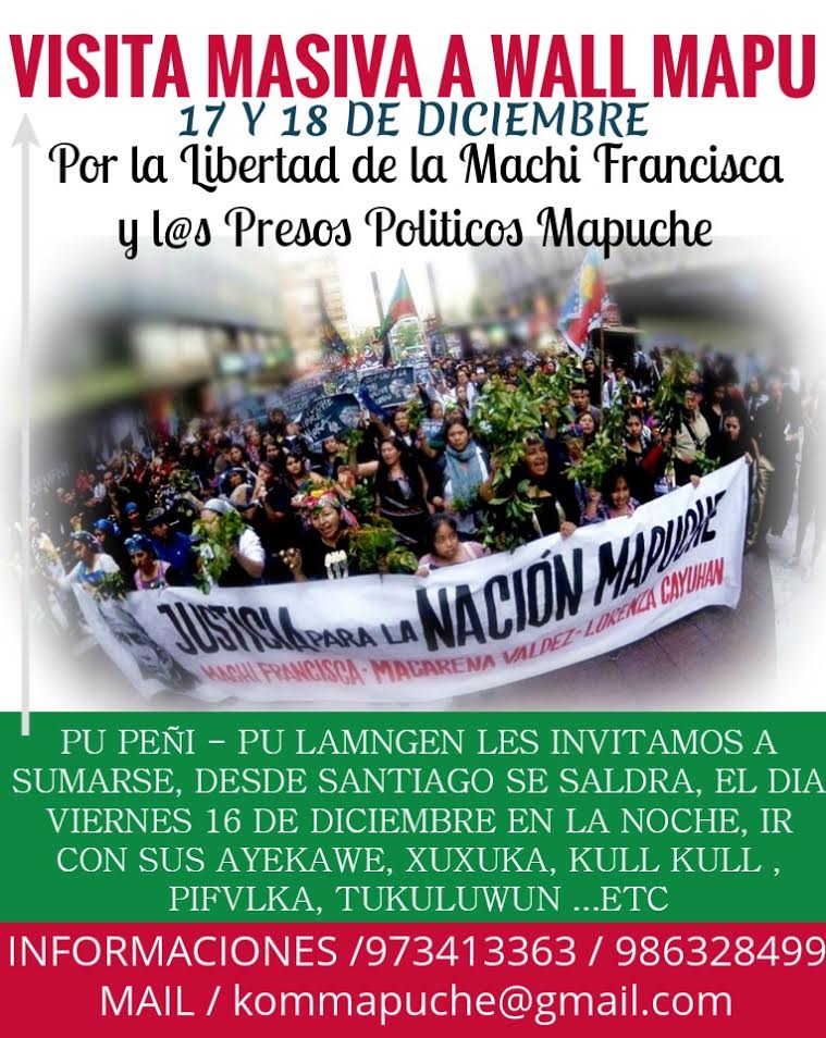 Por la libertad de la Autoridad Ancestral y Prisionera Política Mapuche: machi Francisca Linconao