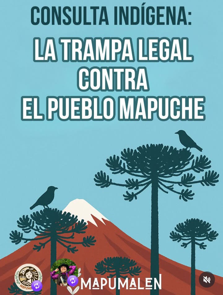 La ONG Images for Inclusion envia una apelación formal al Relator Especial de la ONU sobre los Derechos de los Pueblos Indígenas.